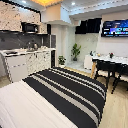فندق Taksim Larissa House اسطنبول